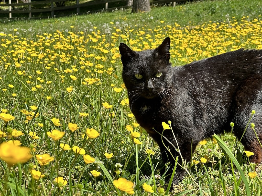 Joy with flowers